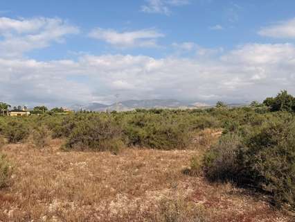 Parcela urbana en venta en Elche/Elx zona Matola