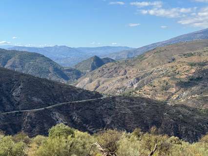 Parcela rústica en venta en Torvizcón rebajada