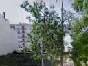 Parcela urbana en venta en Carlet