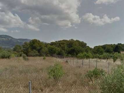 Parcela urbana en venta en Alcalà de Xivert zona Alcossebre