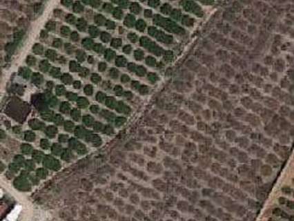 Parcela urbana en venta en Llaurí