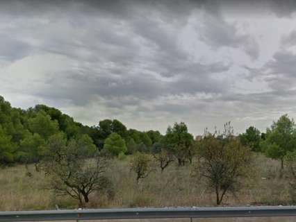 Parcela rústica en venta en Benicasim/Benicàssim