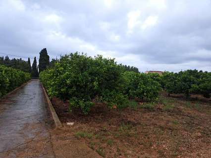 Parcela rústica en venta en Vinaròs