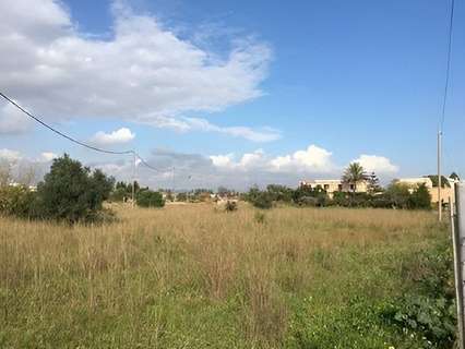 Parcela rústica en venta en Vinaròs