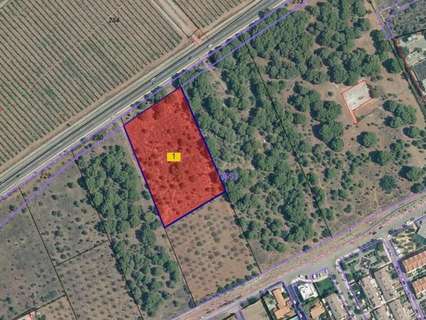 Parcela urbana en venta en Benicasim/Benicàssim