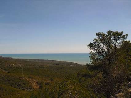 Parcela rústica en venta en Alcalà de Xivert zona Alcossebre