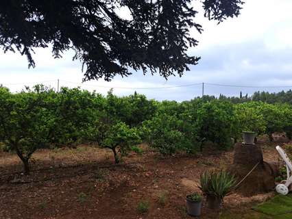 Parcela rústica en venta en Vinaròs