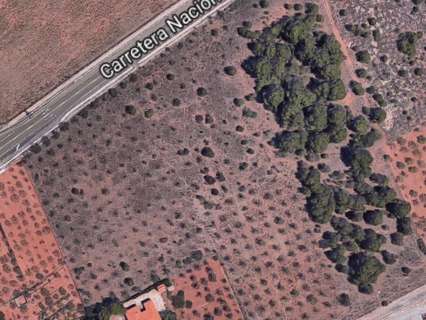 Parcela rústica en venta en Benicasim/Benicàssim