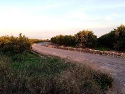 Parcela rústica en venta en La Vall d'Uixó