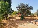 Casa rústica en venta en Ronda rebajada