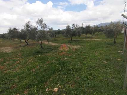 Casa rústica en venta en Ronda