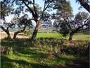 Parcela rústica en venta en Ronda
