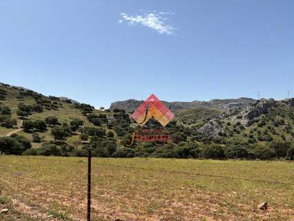 Casa rústica en venta en Ronda