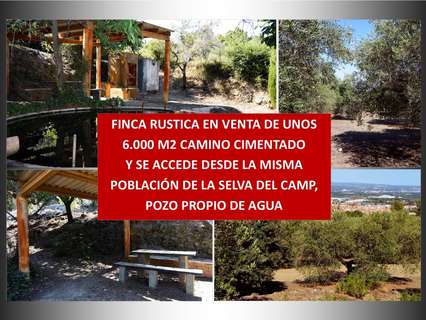 Parcela rústica en venta en La Selva del Camp