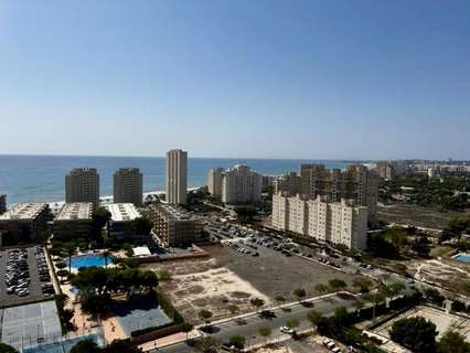 Ático dúplex en alquiler en El Campello