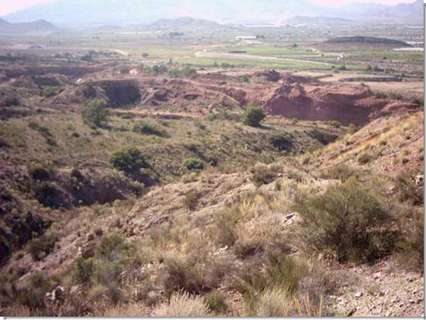 Parcela rústica en venta en Agost