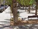 Local comercial en venta en Elche/Elx