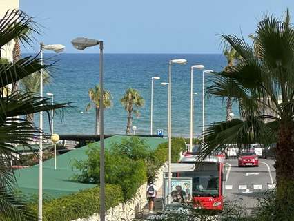 Piso en alquiler en Alicante
