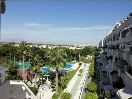 Piso en alquiler en Alicante