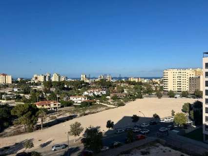 Piso en alquiler en Alicante