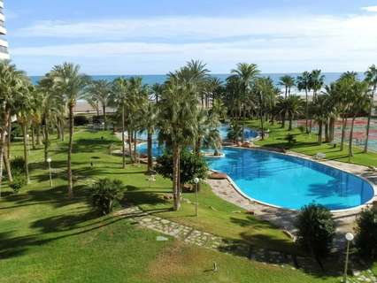 Piso en alquiler en El Campello