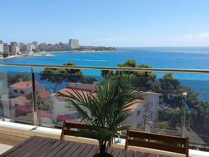 Piso en alquiler en Alicante