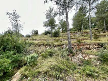 Parcela urbana en venta en La Bisbal del Penedès