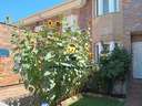 Casa en venta en Carrascal de Barregas