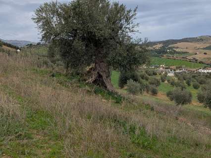 Parcela en venta en Almogía