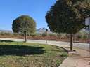 Parcela en venta en Archidona