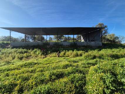 Parcela rústica en venta en Almodóvar del Río