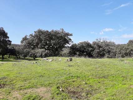 Parcela rústica en venta en Fuente Obejuna