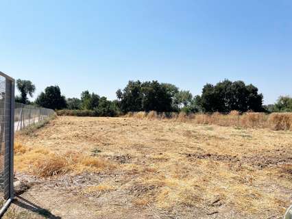 Parcela rústica en venta en Córdoba