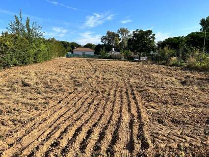 Parcela rústica en venta en Almodóvar del Río