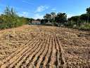 Parcela rústica en venta en Almodóvar del Río