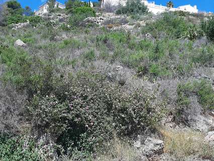 Parcela urbana en venta en Pego