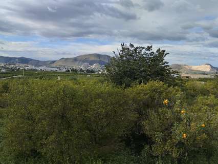 Parcela rústica en venta en Pego