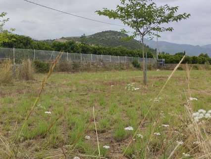 Parcela rústica en venta en Pego