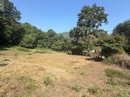 Parcela rústica en venta en Ruente