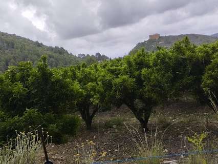 Parcela rústica en venta en Adsubia