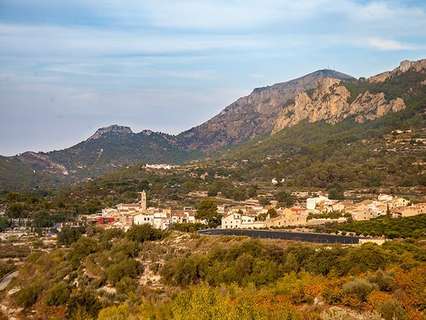 Parcela rústica en venta en Vall de Gallinera