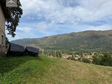 Parcela rústica en venta en Ruente