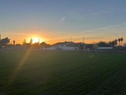 Parcela rústica en venta en Dolores