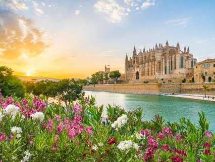 Parcela rústica en venta en Palma de Mallorca