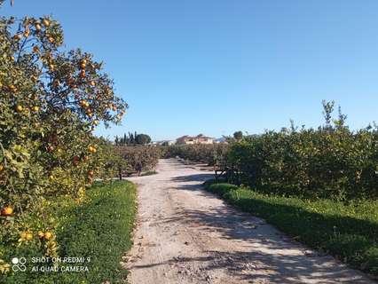 Parcela rústica en venta en Murcia Alquerías rebajada