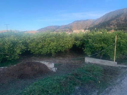 Parcela rústica en venta en Murcia zona Los Ramos