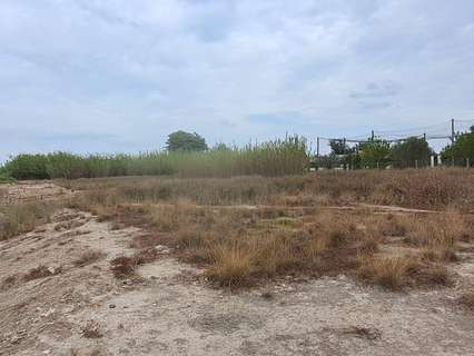 Parcela rústica en venta en Molina de Segura