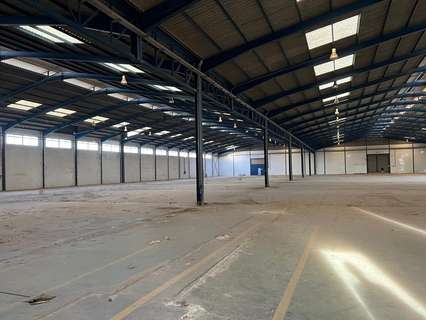 Nave industrial en venta en Orihuela