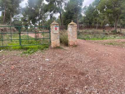 Parcela rústica en venta en Murcia