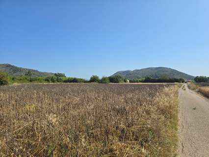 Parcela rústica en venta en Sa Pobla